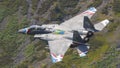 New Heritage F-15E Strike Eagle USAF painted fighter jet