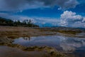 New Highland Terrace, Mammoth Hot Springs, Yellowstone National Park, Wyoming Royalty Free Stock Photo