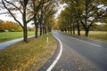 Country road in fall season. Latvia Royalty Free Stock Photo