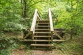 A New Hiker Footbridge along the Appalachian Trail Royalty Free Stock Photo