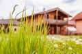 New home: Dandelion flowers in front of a house, springtime