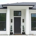New Home House Exterior Black White Modern Entrance Door Elevation