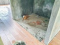 The new house is covered with red ceramic tiles with wooden patterns