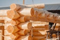 New house wooden log construction interior with exposed framing roof with sun light Royalty Free Stock Photo