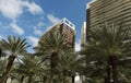 New houses among palm trees in the city of Maimi. Royalty Free Stock Photo