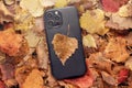 a new 13 or 14 iPhone phone on orange foliage. autumn sales of phones and gadgets cocept