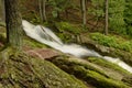 New Jersey Forest Stream Royalty Free Stock Photo