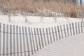 New Jersey Island Beach state park attempts to protect the massive and endangered sand dunes from wind and wave erosion, as well