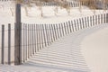 New Jersey Island Beach state park attempts to protect the massive and endangered sand dunes from wind and wave erosion, as well