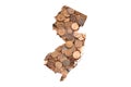 New Jersey Map and Money Concept, Piles of One Cent Coins, Pennies Royalty Free Stock Photo