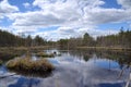 New Jersey Pine Barrens Lake