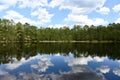 New Jersey Pine Barrens