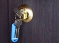 A new key in a keyhole in a wooden door Royalty Free Stock Photo