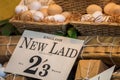 New laid english hens eggs for sale in vintage shop display Royalty Free Stock Photo