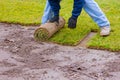 New lawn rolls of fresh grass turf ready to be used for gardening Royalty Free Stock Photo