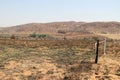 New life beginnings after a veld fire on a farm in the Vredefort Dome area  near Parys. Royalty Free Stock Photo