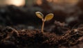 New life begins with the growth of a small sapling generated by AI