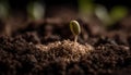 New life begins with organic seedling growth generated by AI