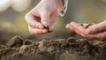 New life concept - human hand is ready to plant grain into the soil. Royalty Free Stock Photo