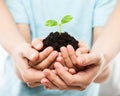 Human hands holding green sprout leaf growth at dirt soil Royalty Free Stock Photo