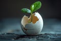 New life concept represented by a small plant growing in a broken eggshell Royalty Free Stock Photo