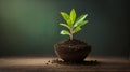 New Life concept with seedling growing sprout tree Royalty Free Stock Photo