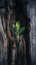 New life emerges from old with vibrant green plant on weathered trunk