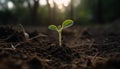 New life emerges from wet soil, a small sapling grows generated by AI