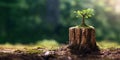 New life growing like young tree growing from old sump.Hope,ecology,life and love on earth concept.Space for text.AI Generative Royalty Free Stock Photo