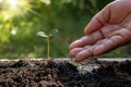 New life plants growing from seeds on fertile soil and farmer`s hands irrigating trees