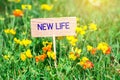 New life signboard Royalty Free Stock Photo