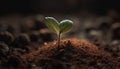 New life sprouts from fragile seedlings in fresh, green environment generated by AI