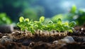 New life sprouts in the fresh green vegetable garden generated by AI