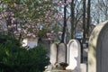 New light and joy on beautiful ancient cemetery in Paris