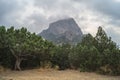 New light juniper and mountain views