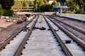 The new light rail tracks are under construction Royalty Free Stock Photo