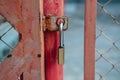 new lock on the iron door Royalty Free Stock Photo