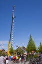 New Maibaum in Garching Royalty Free Stock Photo