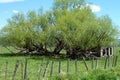 New Meadows, Idaho Historical Barn Royalty Free Stock Photo