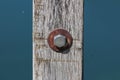 New metal bolt on completely rusted flat washer and old dilapidated faded narrow wooden board surrounded with calm blue river