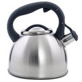 A new metal kettle with a whistle on a white background