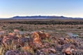 New Mexican Mountains and Lava Field