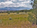 New Mexico`s Santa Fe National Forest Royalty Free Stock Photo
