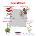 New Mexico. Set of USA official state symbols.