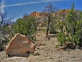 Pajarito Plateau at Los Alamos, New Mexico Royalty Free Stock Photo