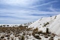 New Mexico - The white sands Royalty Free Stock Photo