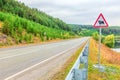 New modern asphalt road. Sign Driving cattle