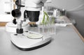 New modern microscope in laboratory Royalty Free Stock Photo