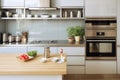 New modern sink home apartment kitchen white oven design furniture counter house interior room Royalty Free Stock Photo