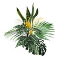 Botanical illustration, beautiful tropical flowers bouquet, sansevieria, palm leaves, exotic yellow plants.
